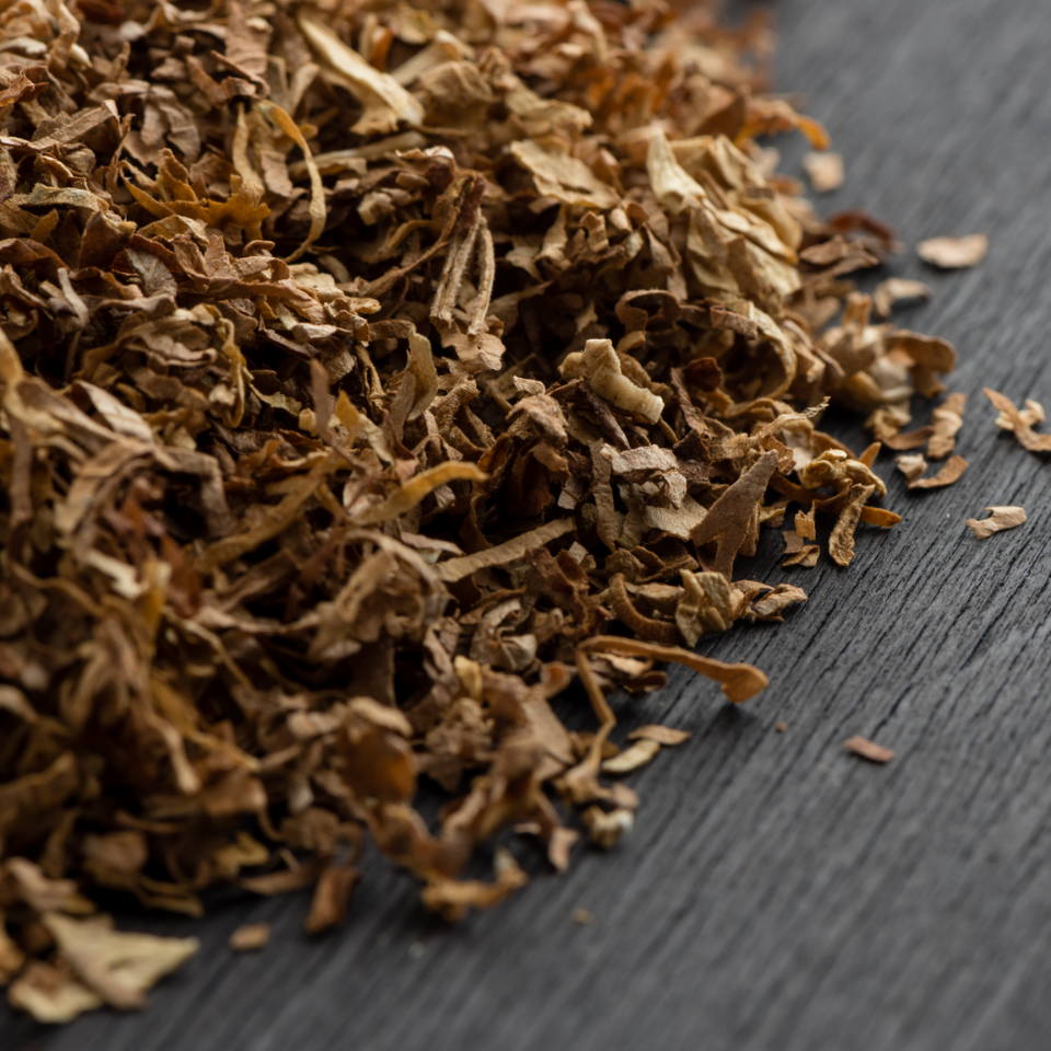 Tobacco seeds - Burley Panama - 100