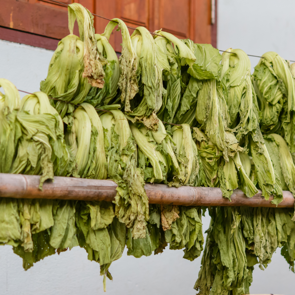 Tobacco seeds - Baiano - 50