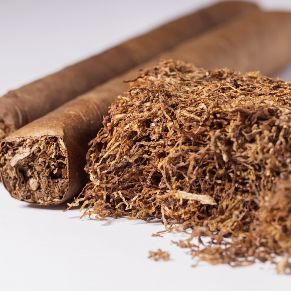 Tobacco seeds - Papante - 100