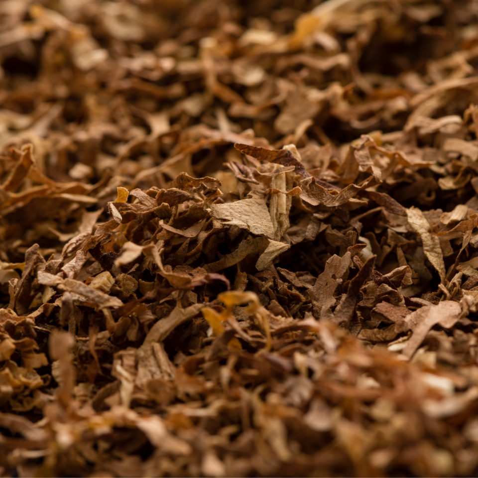 Seeds of Shag Cigar - 100