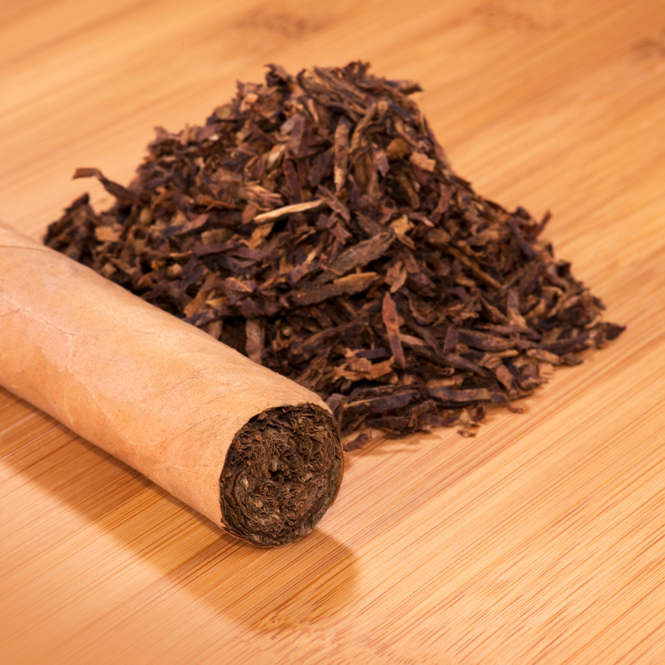 Tobacco seeds Sobolchski 33 - 100