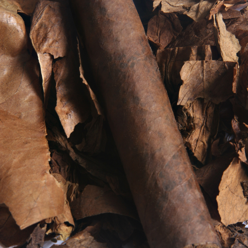 Tobacco seeds Monte Calme - 100