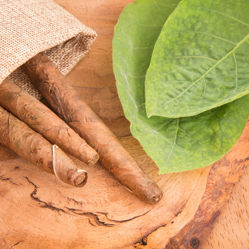 Tobacco seeds Monte Calme - 100