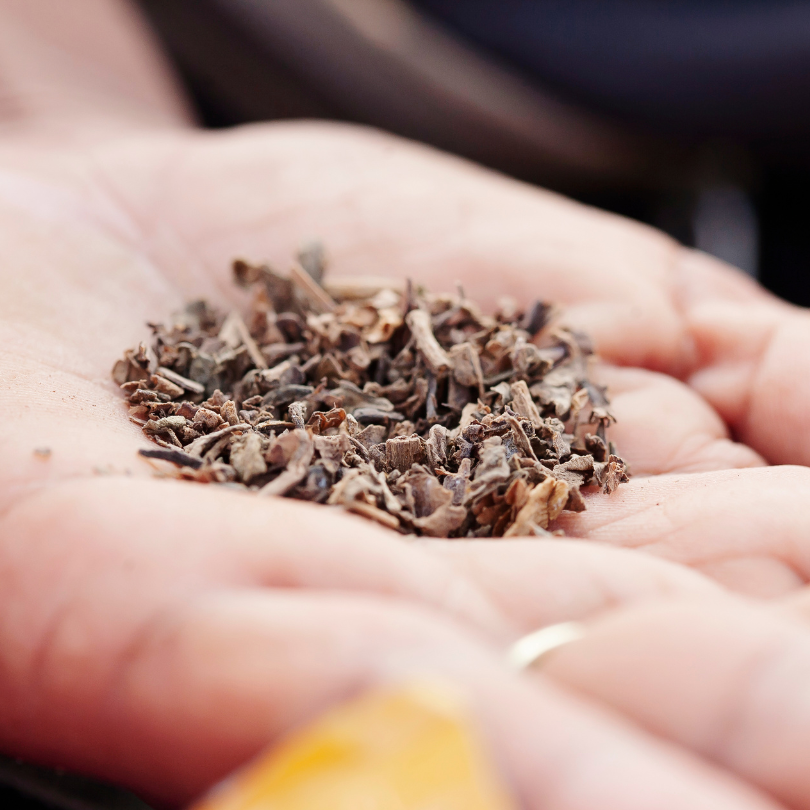 Tobacco seeds Stolac 17 - 50