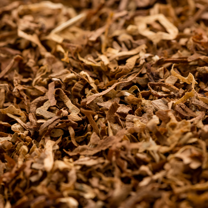 Tobacco seeds Stolac 17 - 50