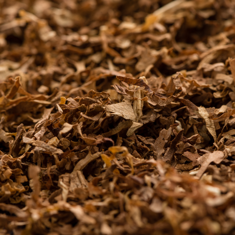 Tobacco seeds Golden Wilt - 100
