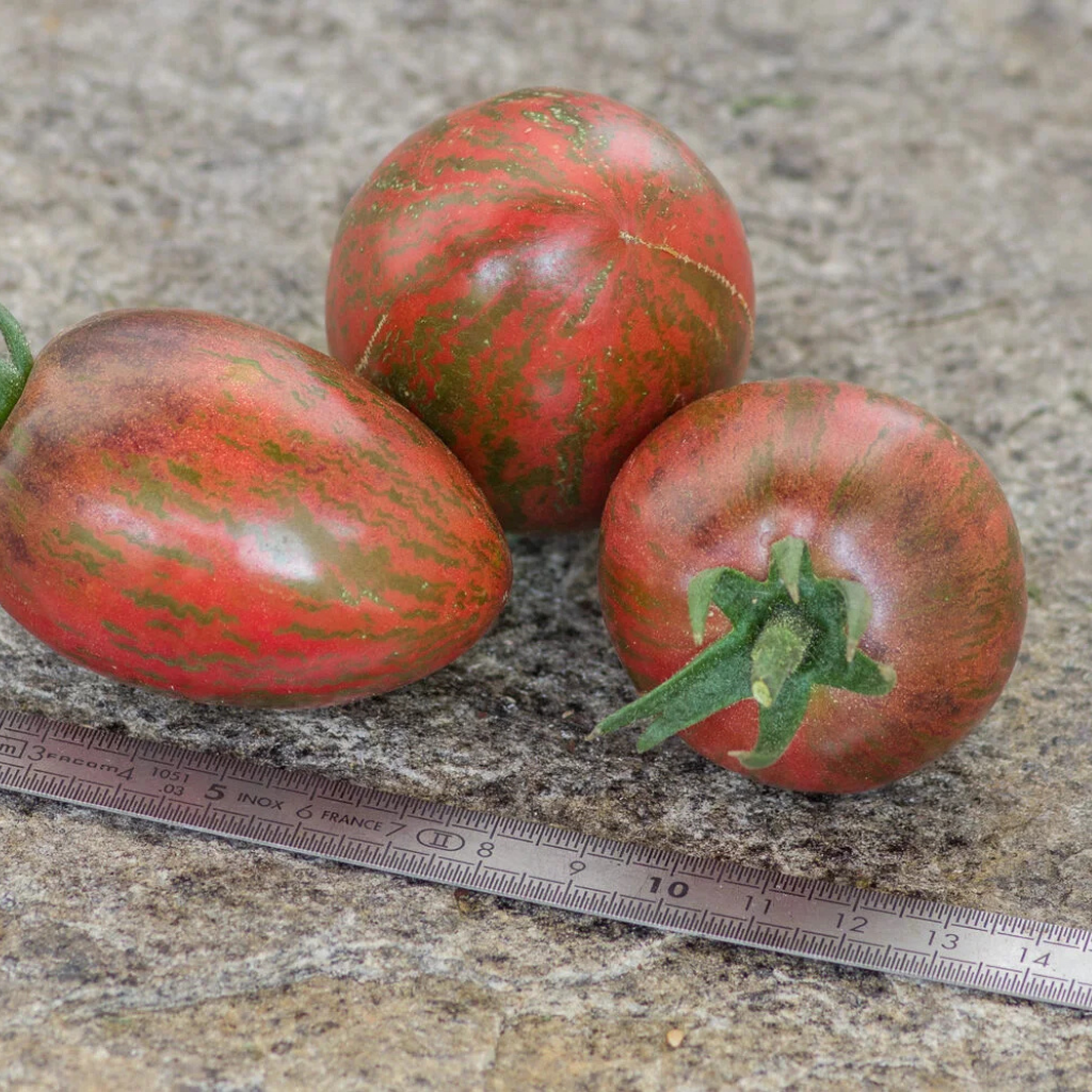 Tomato seeds Sweet Tooth - 10