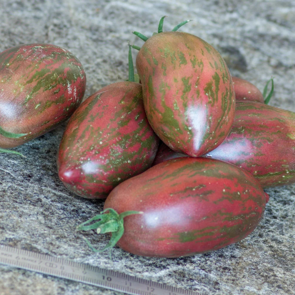 Tomato seeds Sweet Tooth - 10
