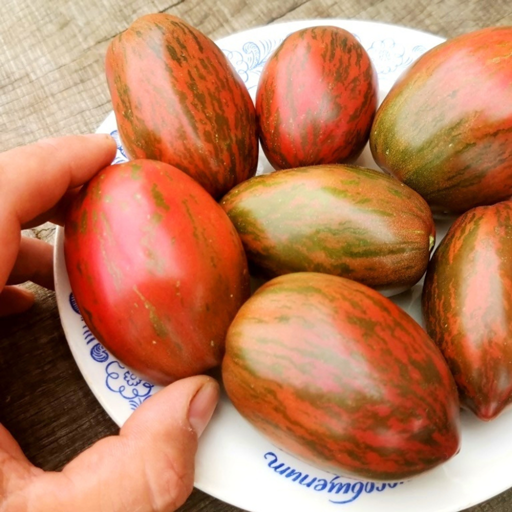 Tomato seeds Sweet Tooth - 10