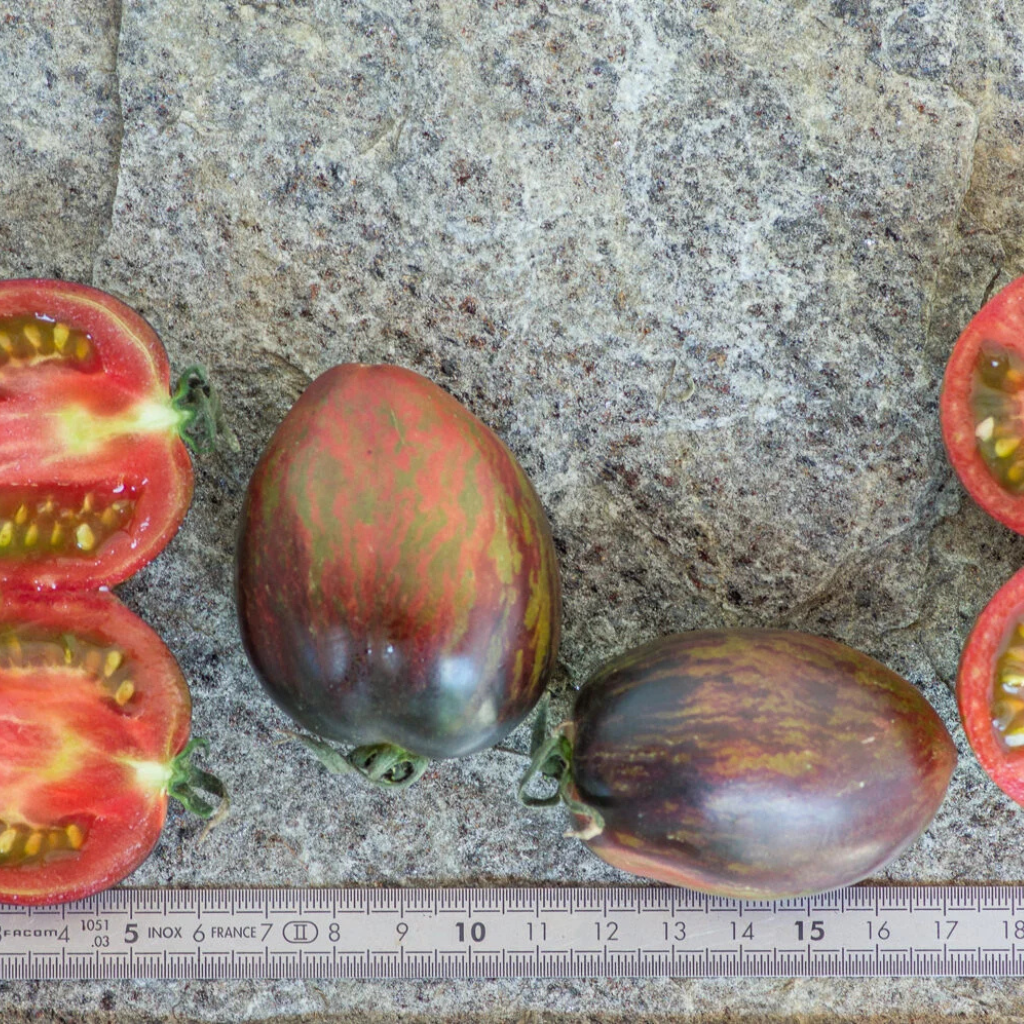 Tomato seeds Sweet Tooth - 10