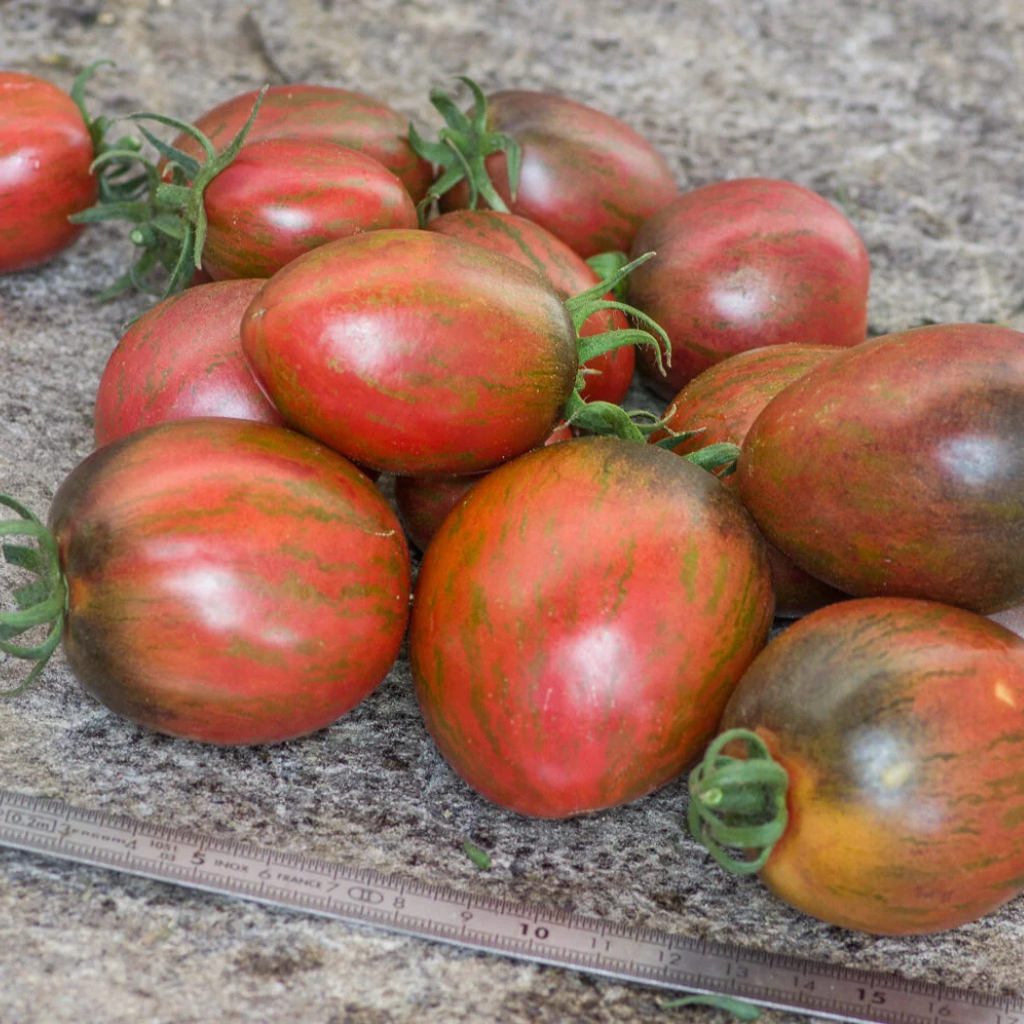 Tomato seeds Sweet Tooth - 10