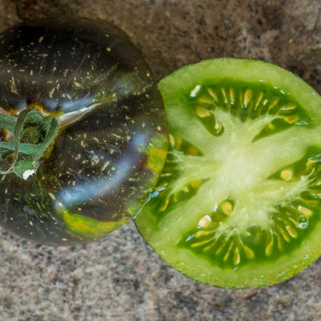 Tomato seeds 3242 AL - Albo Green - 10
