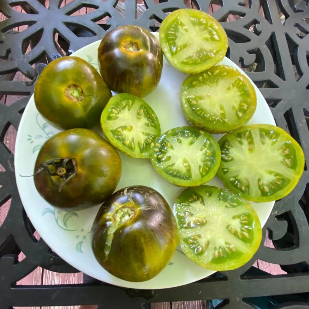 Tomato seeds 3242 AL - Albo Green - 10