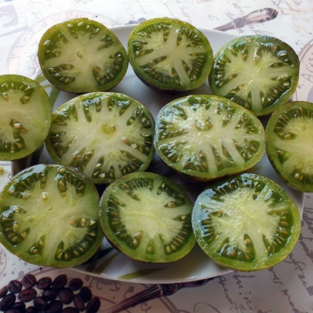 Tomato seeds 3242 AL - Albo Green - 10