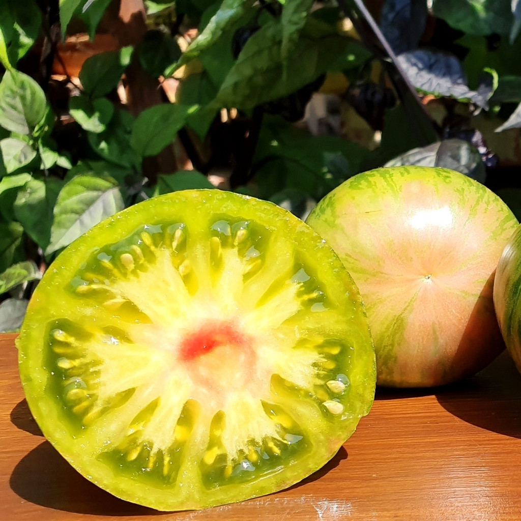 Tomato seeds Kozula 25 - 10