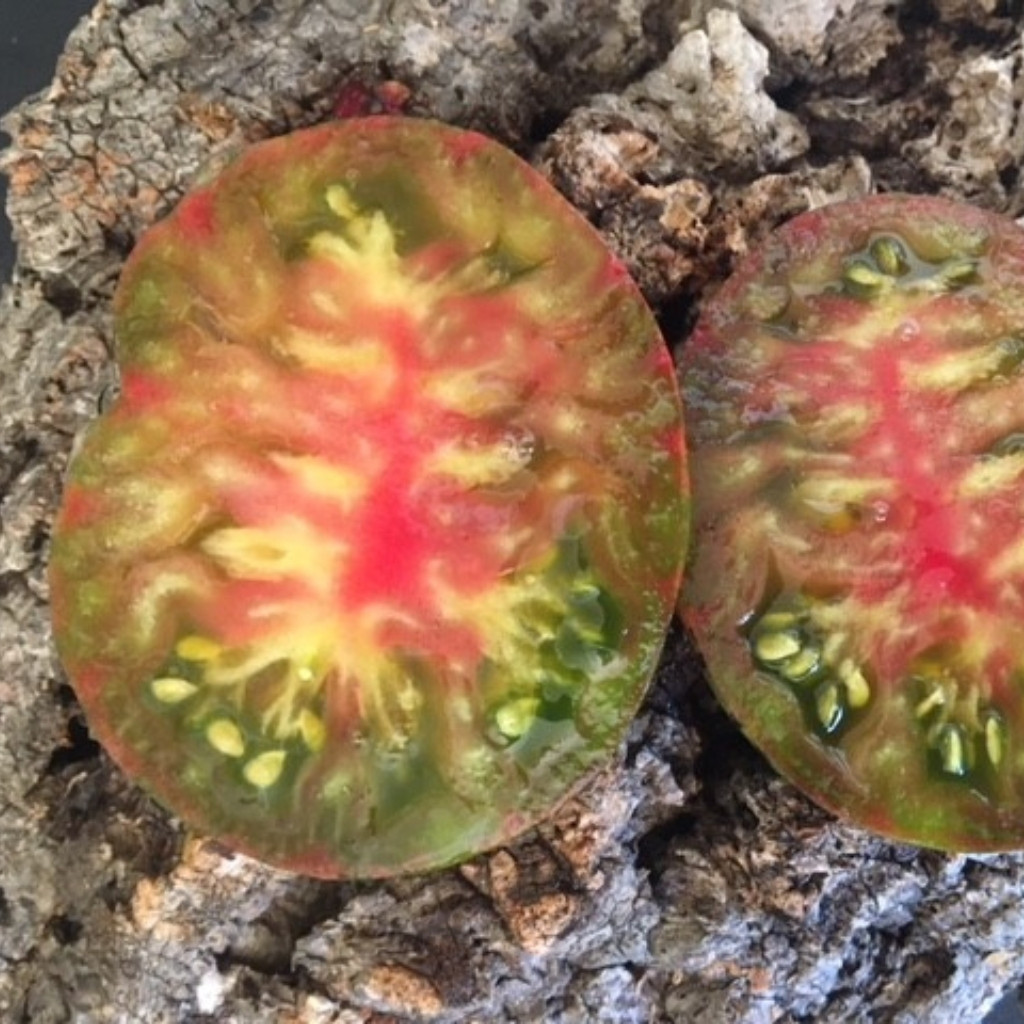 Tomato seeds Kozula 25 - 10