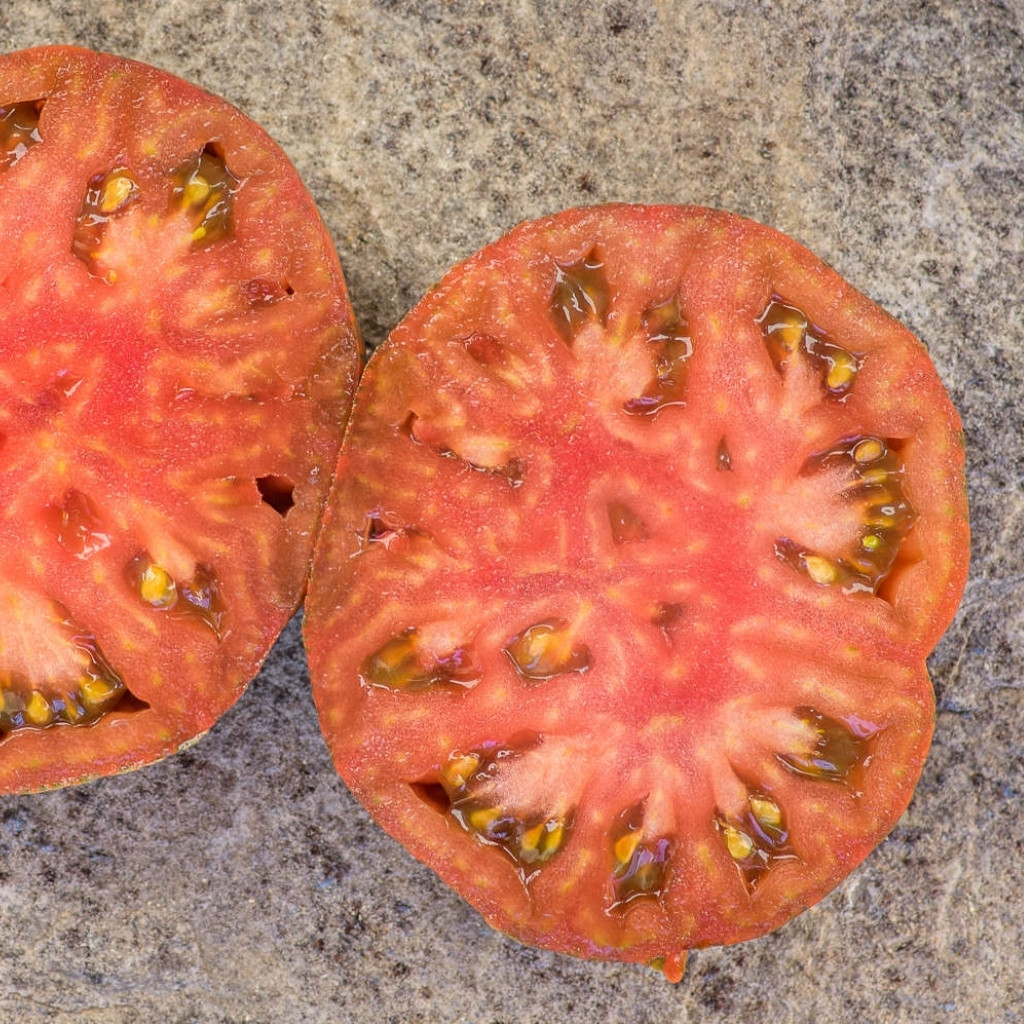 Tomato seeds Siegel's dark stripes - 10