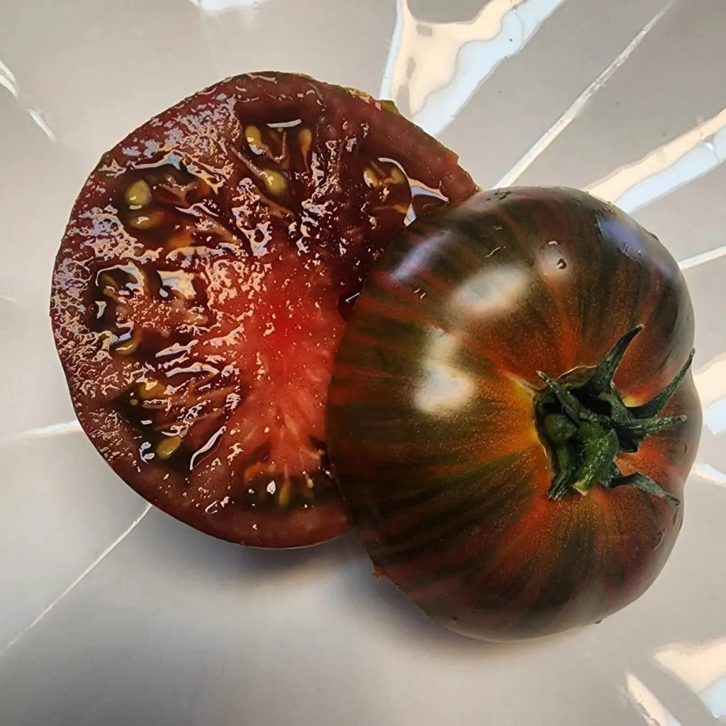 Tomato seeds Siegel's dark stripes - 10