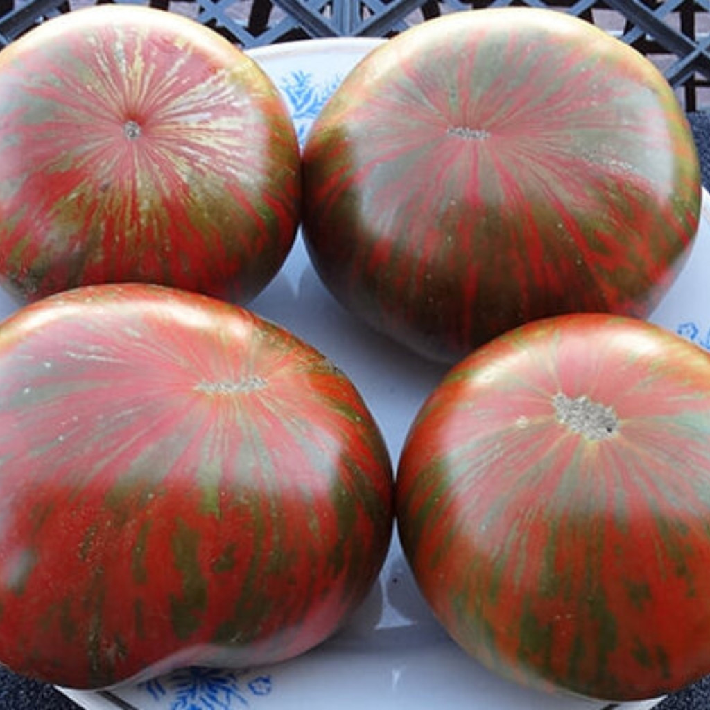Tomato seeds Siegel's dark stripes - 10