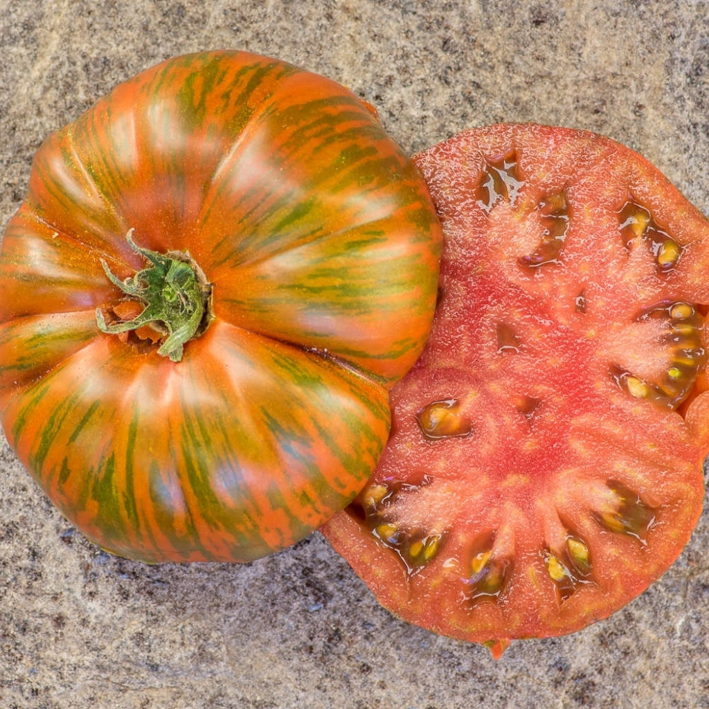 Tomato seeds Siegel's dark stripes - 10