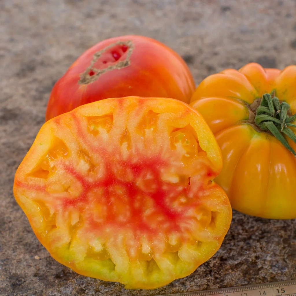 Tomato seeds Golden Pineapple - 10