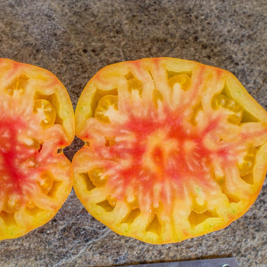 Tomato seeds Golden Pineapple - 10