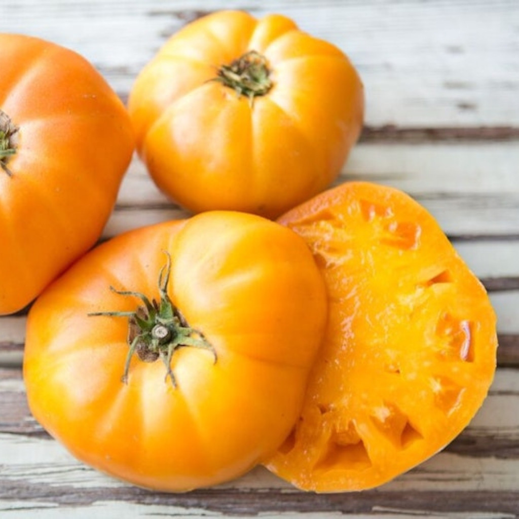Tomato seeds Golden Pineapple - 10
