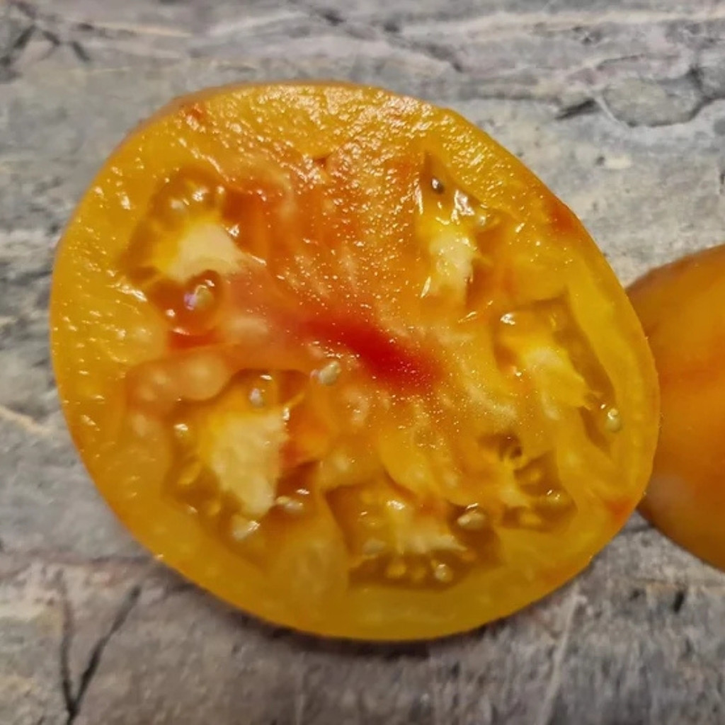 Tomato seeds Chameleon - 10