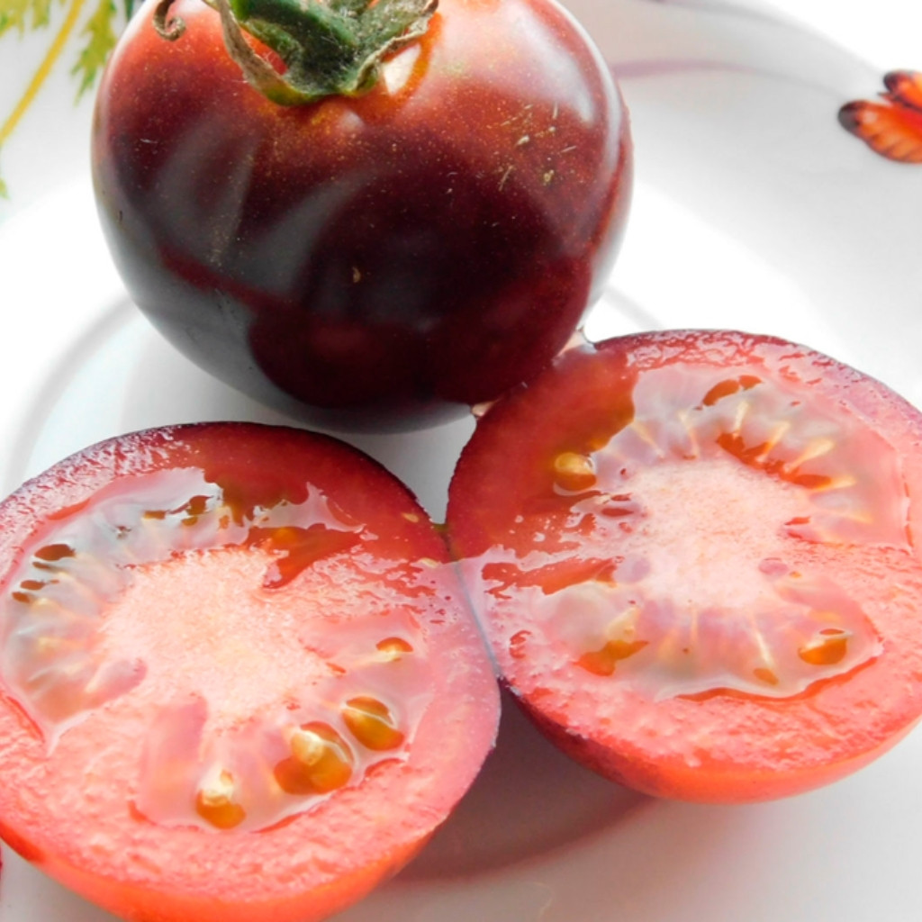 Tomato seeds Chameleon - 10