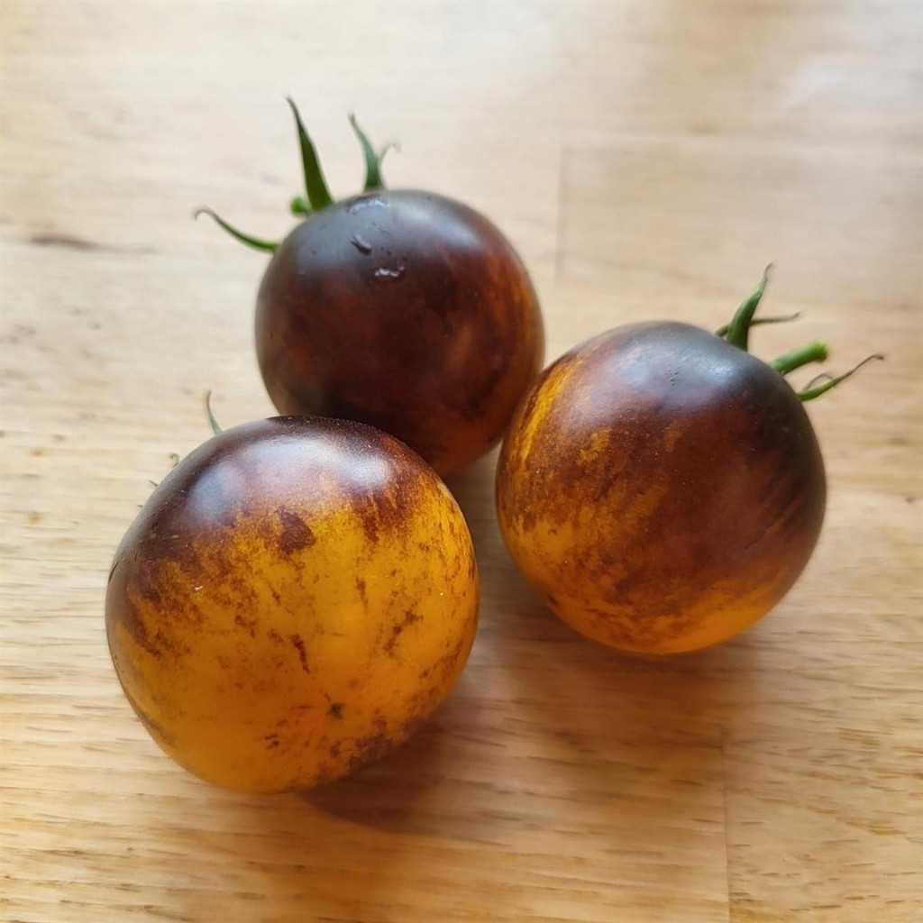 Tomato seeds Ussuri Tiger - 10