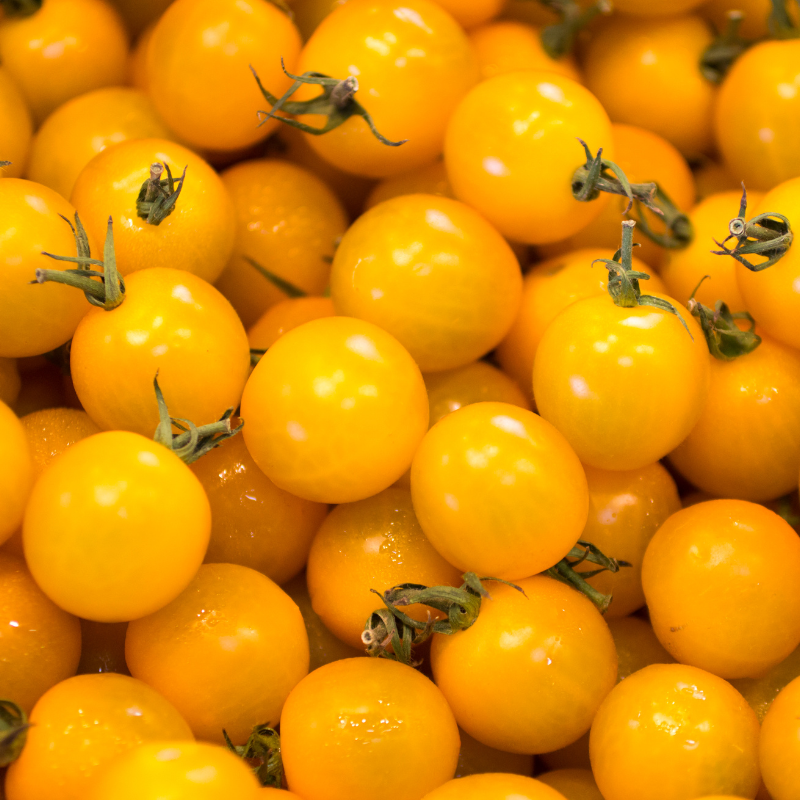 Tomato seeds yellow cherry - 50