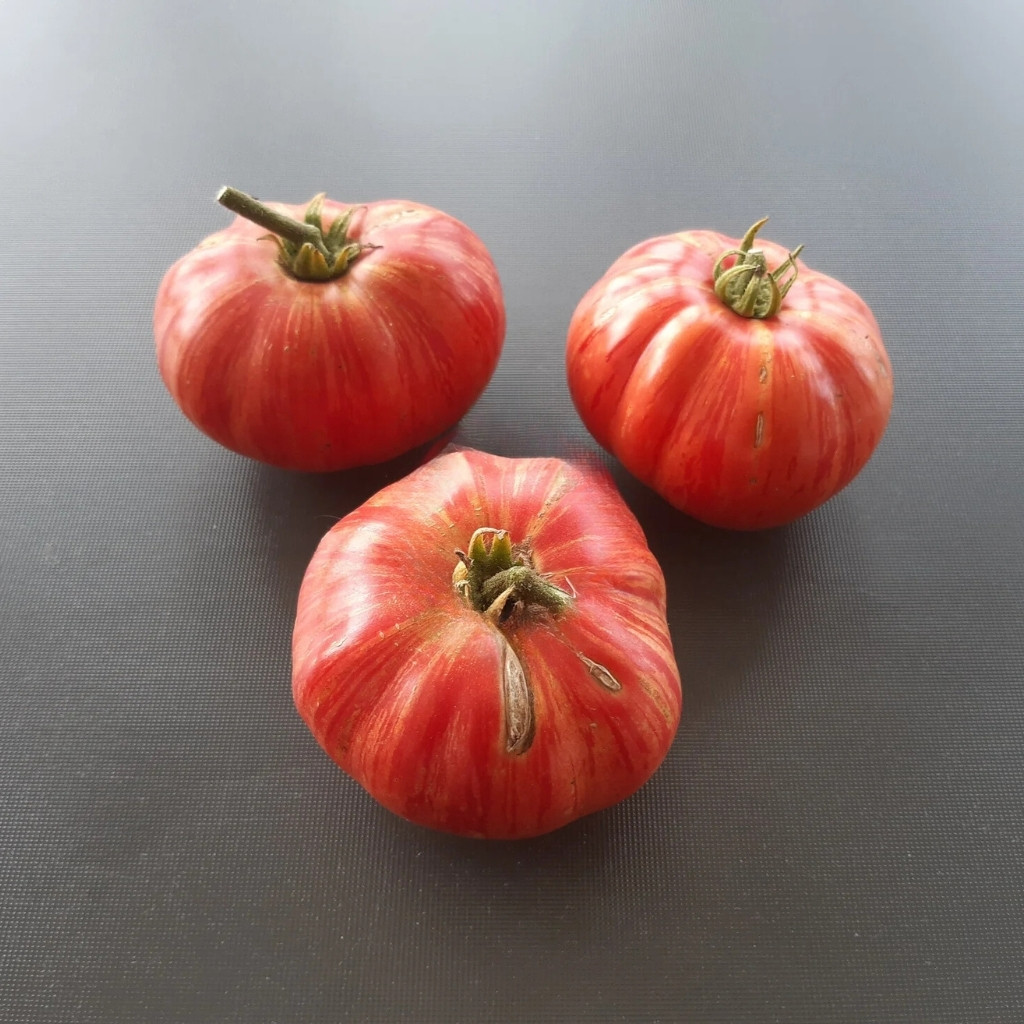 Tomato seeds Hippie Zebra - 10