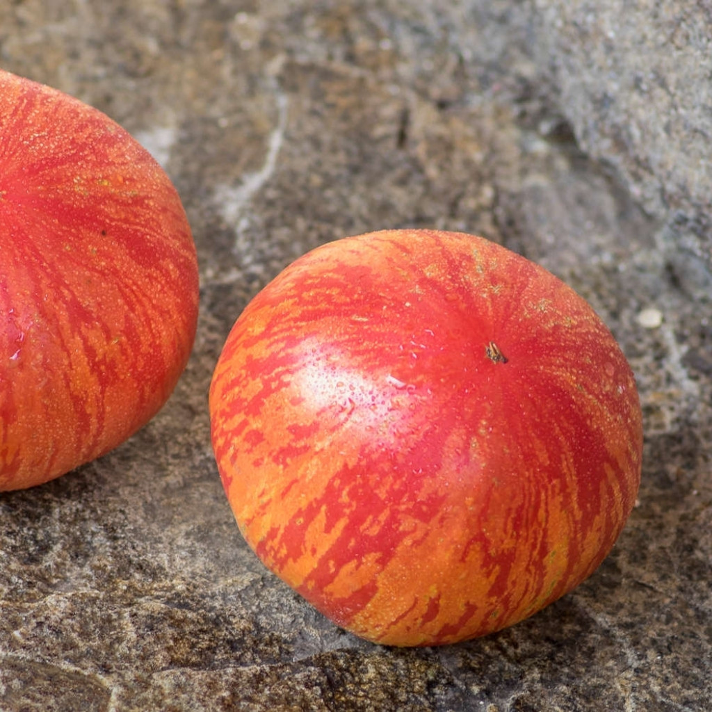 Tomato seeds Hippie Zebra - 10
