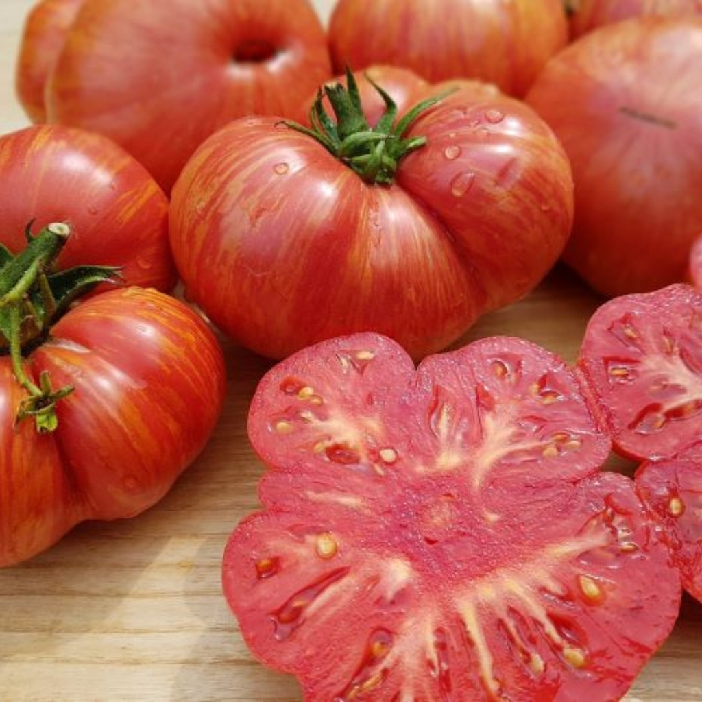 Tomato seeds Hippie Zebra - 10