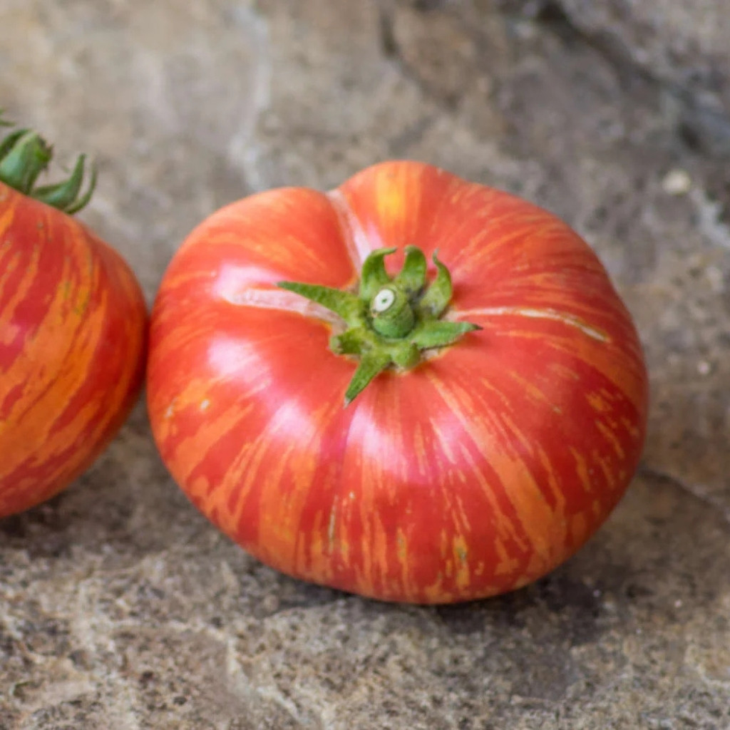 Tomato seeds Hippie Zebra - 10