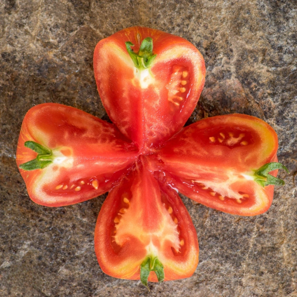 Tomato seeds Hippie Zebra - 10