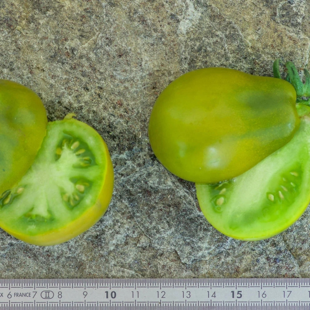 Tomato seeds Green Pear - 10