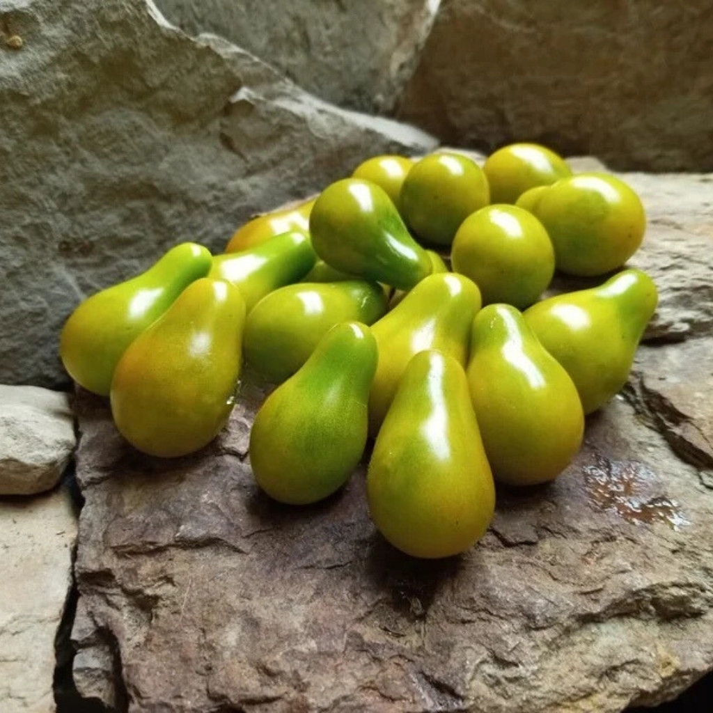 Tomato seeds Green Pear - 10