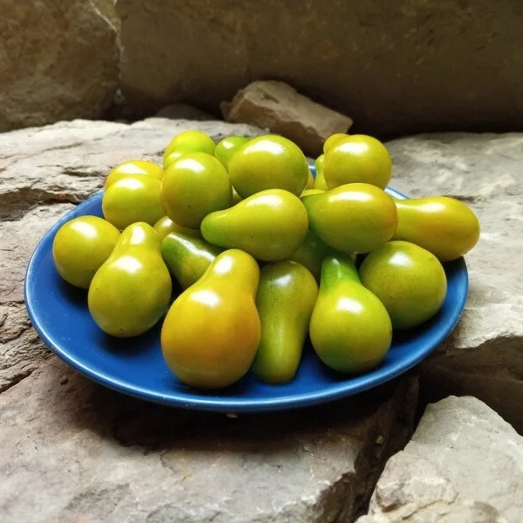 Tomato seeds Green Pear - 10