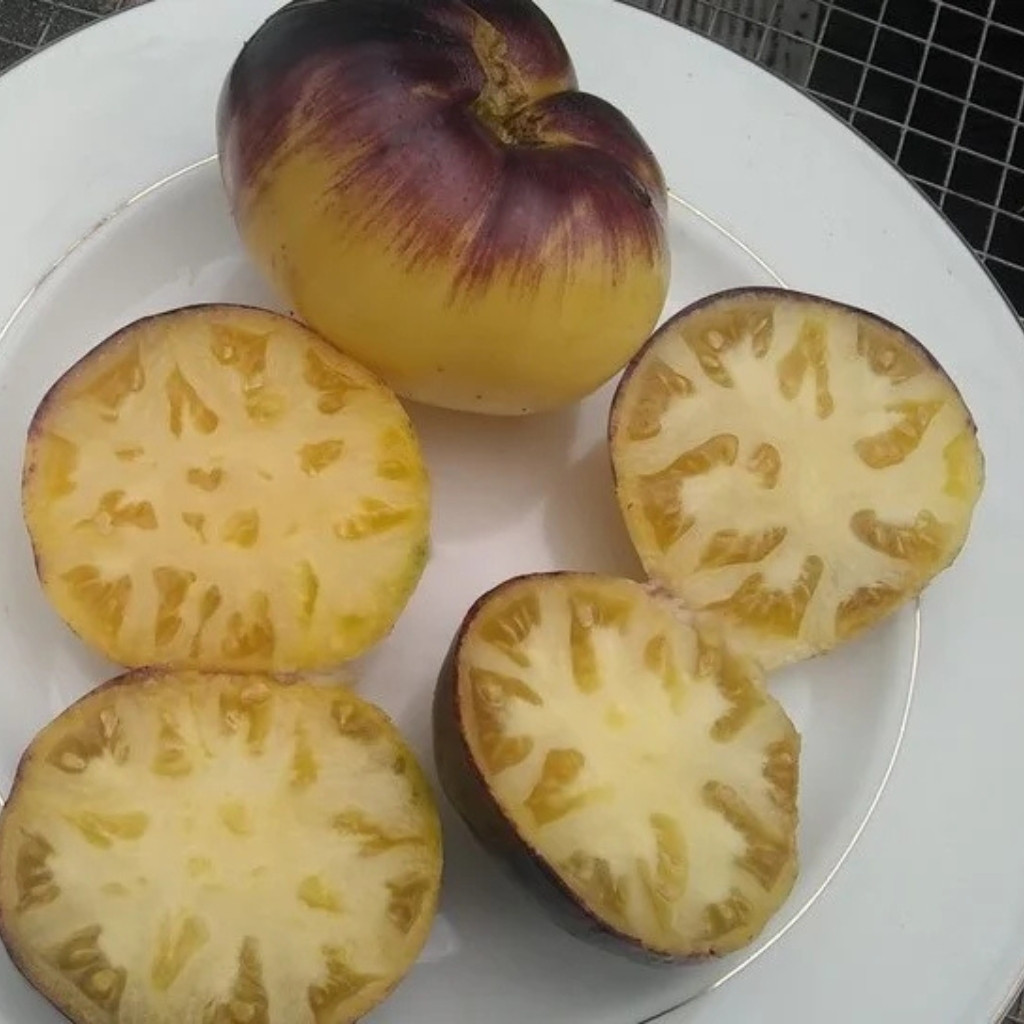 Tomato seeds Great White + P20 (Great White Blue) - 10
