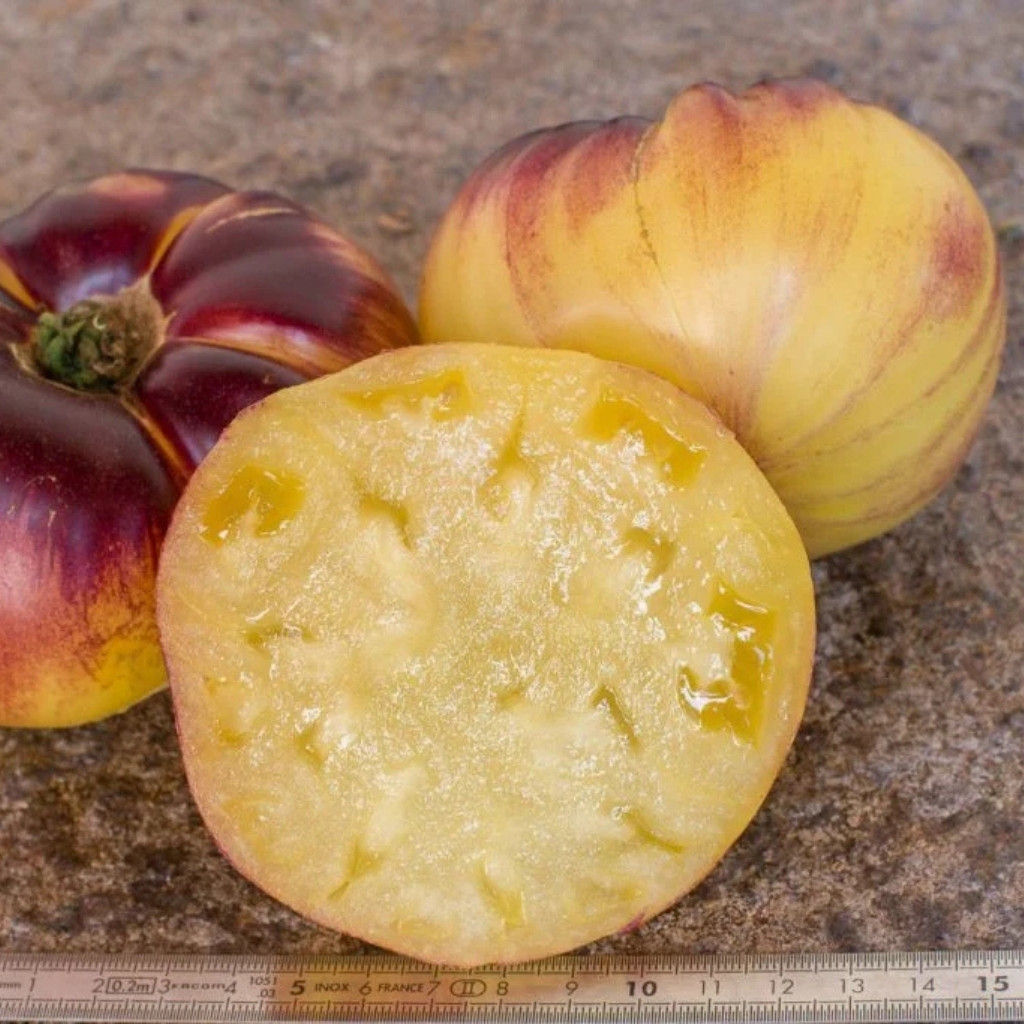 Tomato seeds Great White + P20 (Great White Blue) - 10
