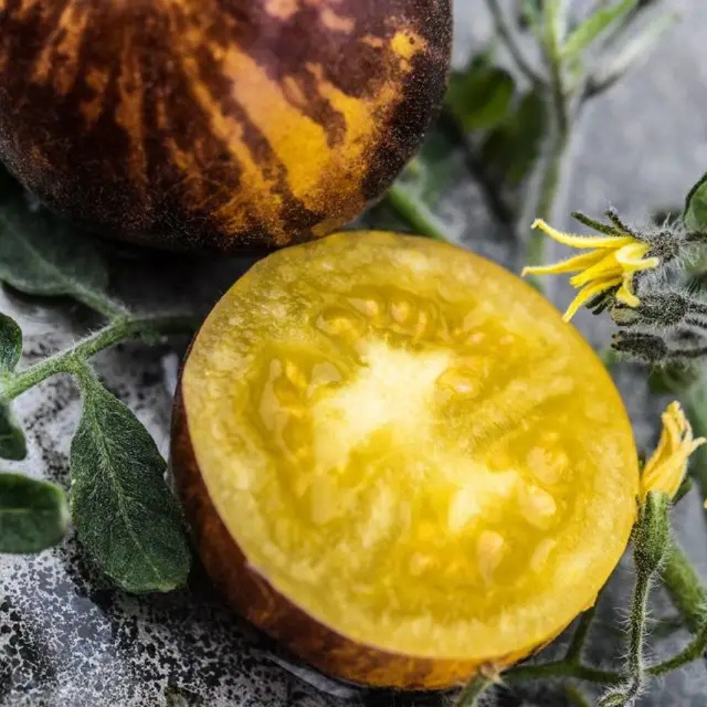 Tomato seeds Woolly Kate, shaggy Kate - 10