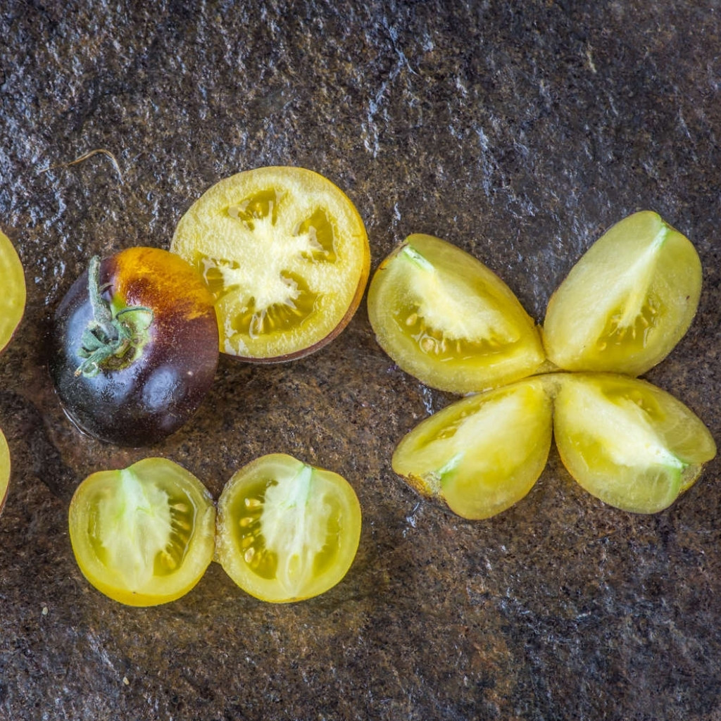 Tomato seeds Woolly Kate, shaggy Kate - 10