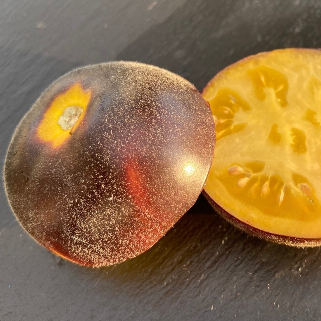 Tomato seeds Woolly Kate, shaggy Kate - 10