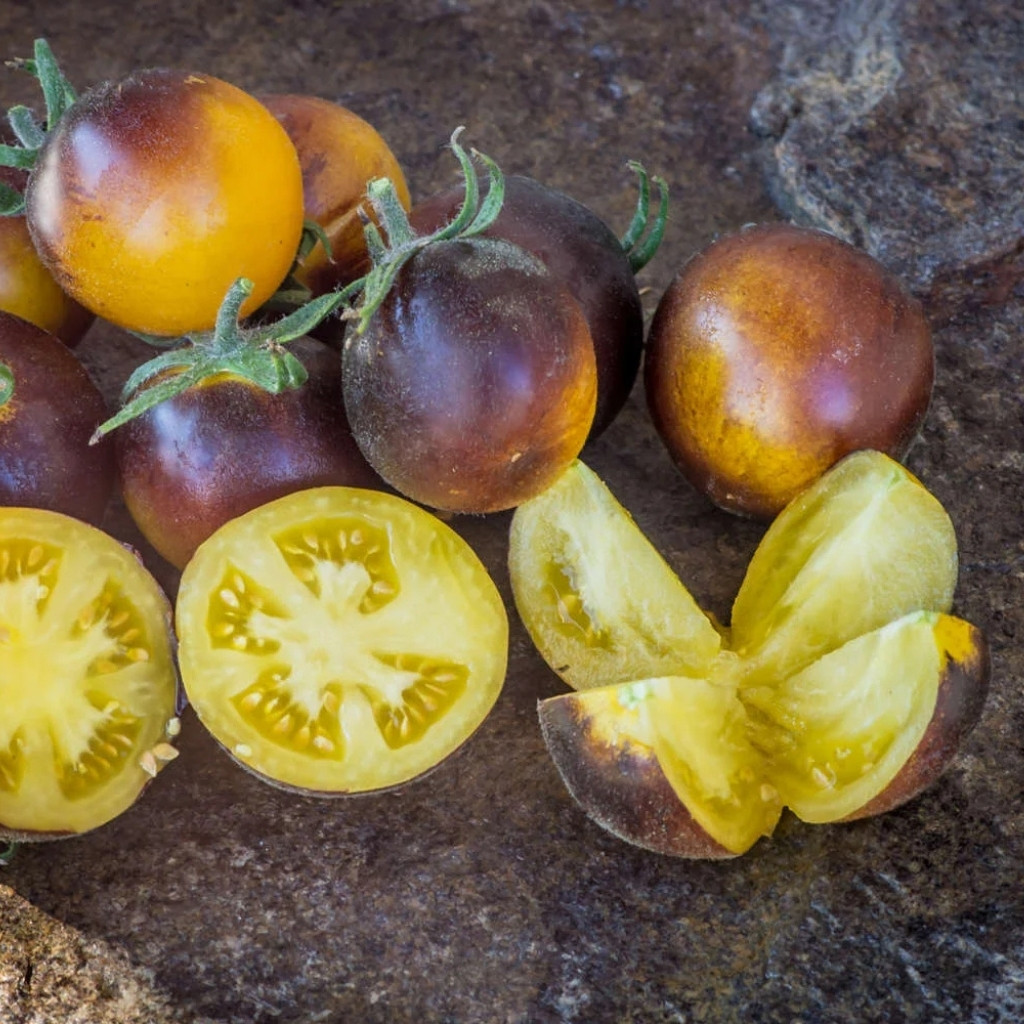 Tomato seeds Woolly Kate, shaggy Kate - 10