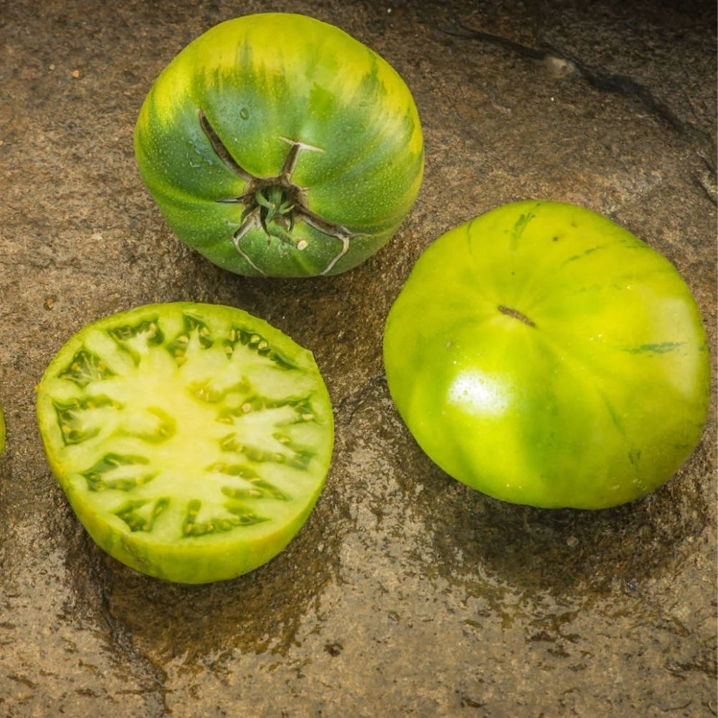 Tomato seeds Quapaw Green - 10