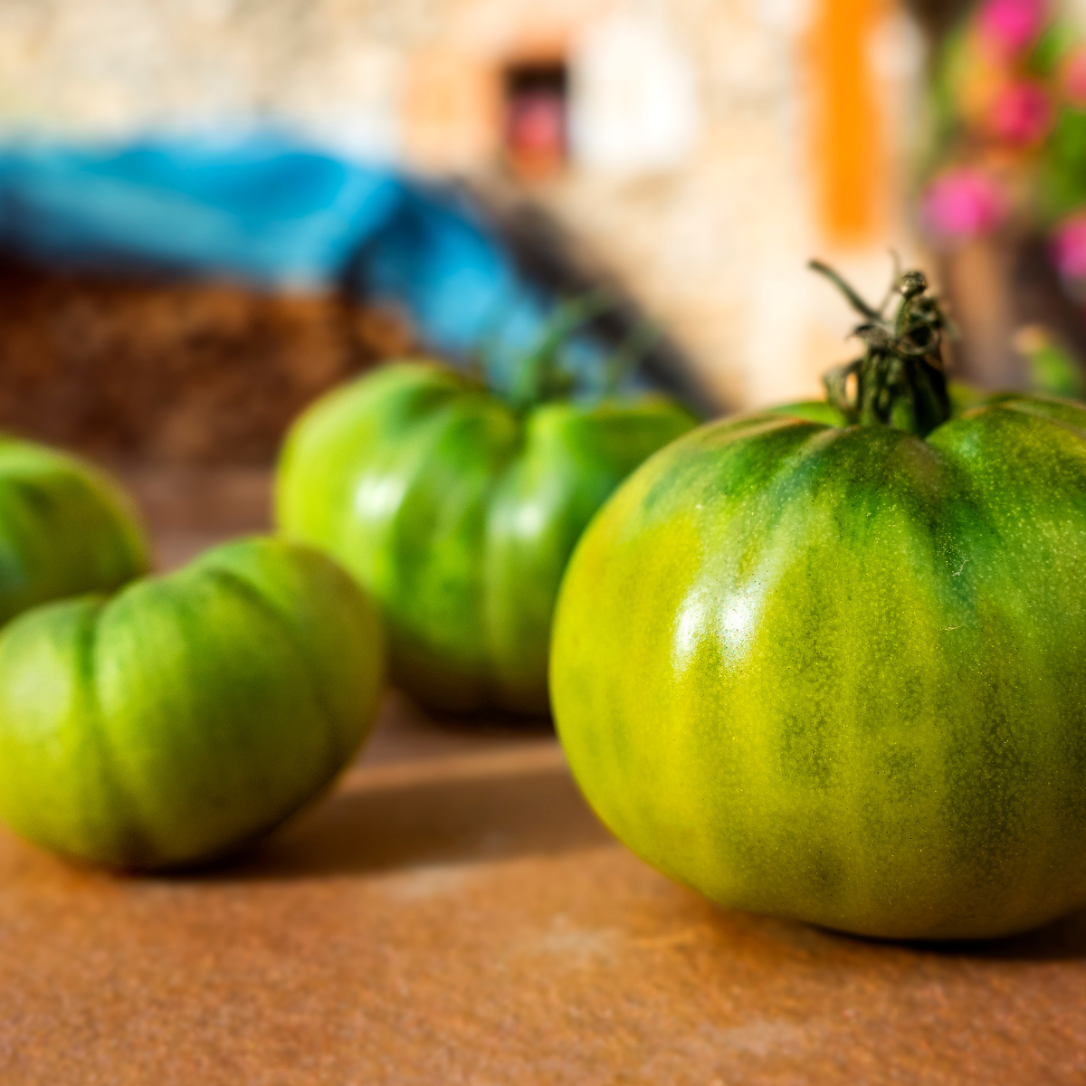 Tomato seeds Quapaw Green - 10