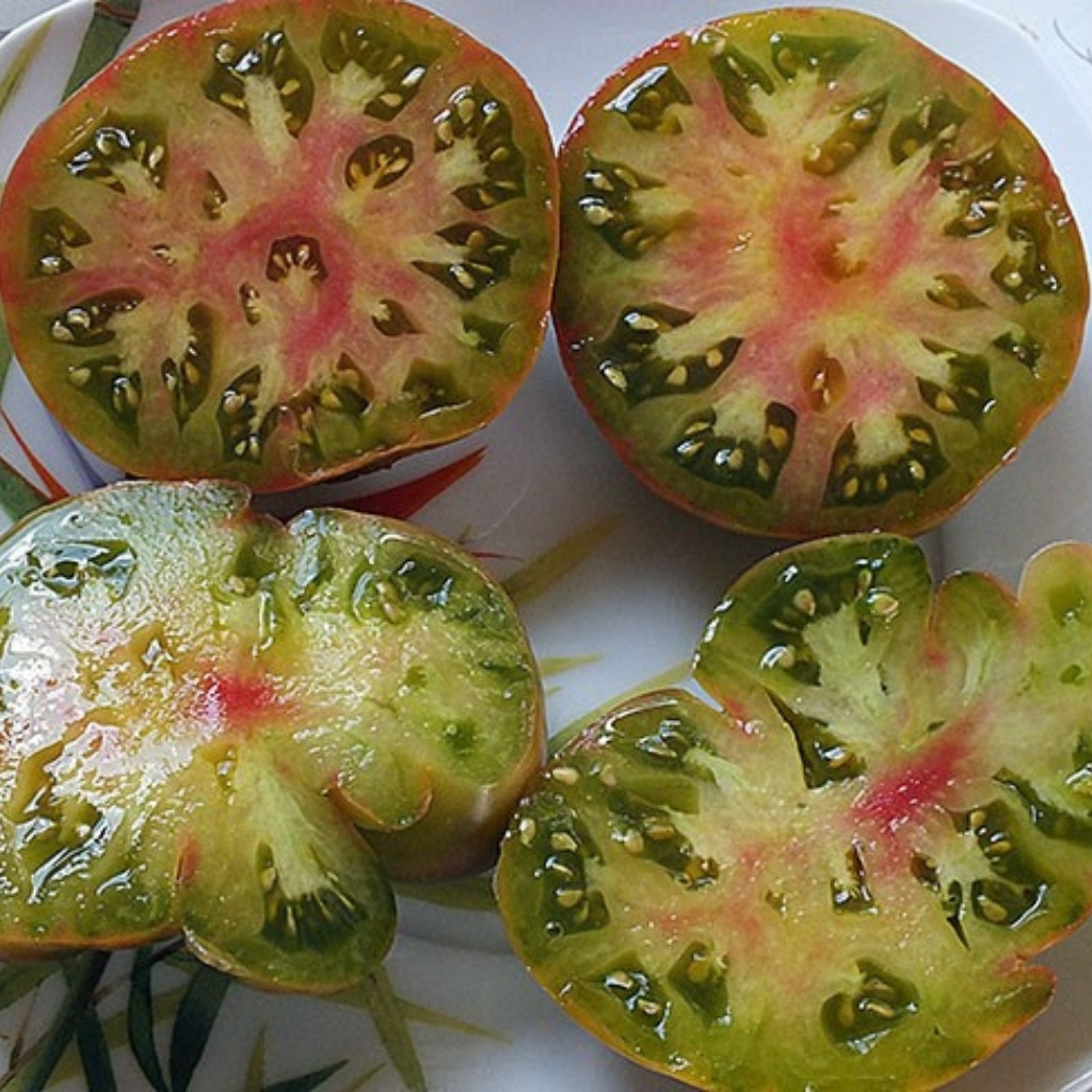 Tomato seeds Quapaw Green - 10