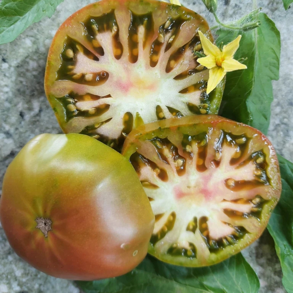 Tomato seeds Quapaw Green - 10