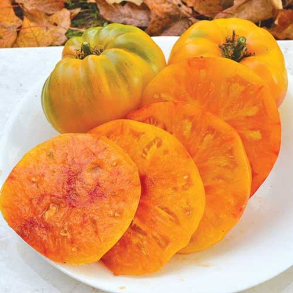 Tomato seeds Hillbilly - 10
